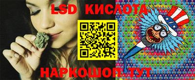 стафф Гай