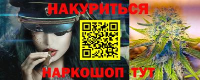 стафф Гай
