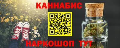 стафф Гатчина