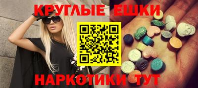 стафф Гатчина