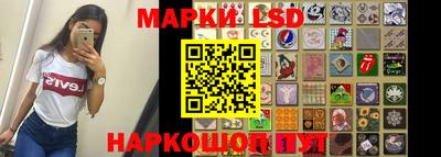 стафф Гай