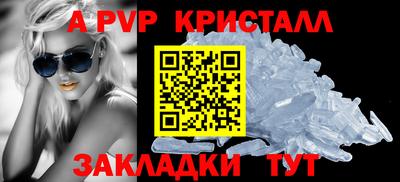 стафф Гай
