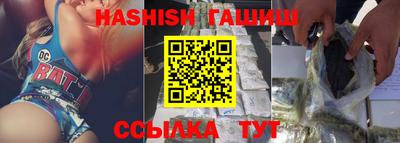 стафф Гатчина