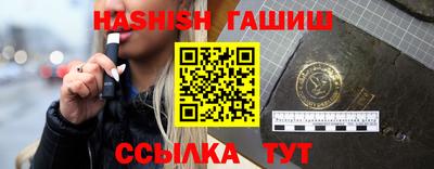 стафф Гатчина