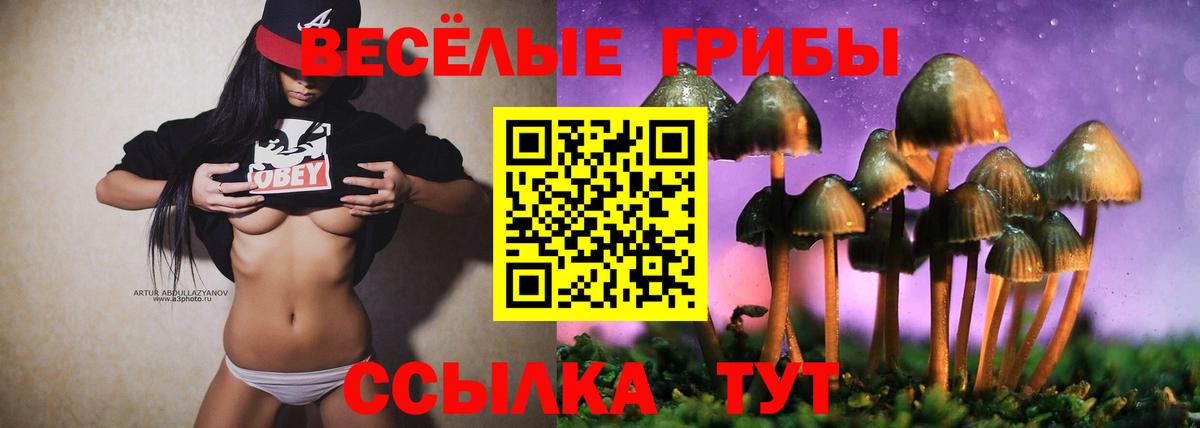 Галлюциногенные грибы прущие грибы  магазин    Бутурлиновка  Вход с VPN 