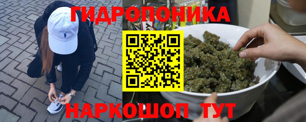 Каннабис THC 21%  Бошки марихуана White Widow  Канабис план  Бутурлиновка  Вход с VPN 
